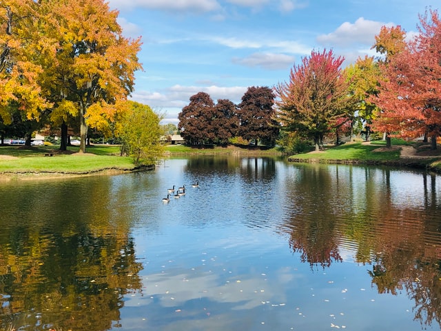 Feng Shui Water Features